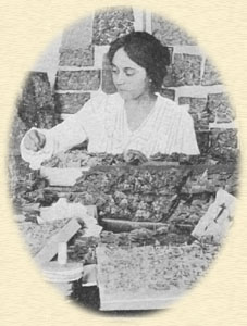 Opal with diary scraps