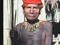 Mingor Warrior detail