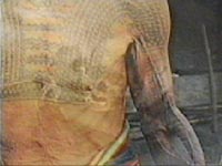 Mingor warrior detail