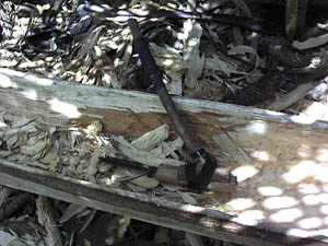 Canoe adze and view of side wall