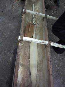 Canoe, paddle, and bailer