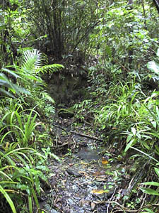 Tributary stream