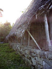 Faluw