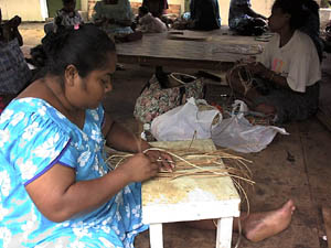 Tofol Weaver 1