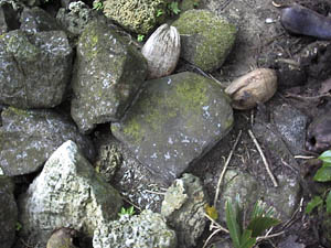 Walung, Seka Pounding Stone