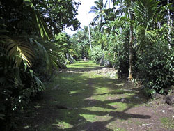 Dance ground