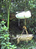 Hanging crib