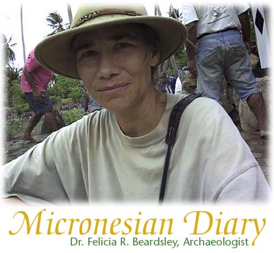 Micronesian Diary