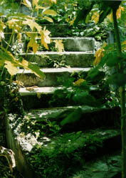 Steps to lighthouse