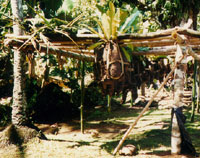 Feast photo