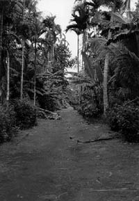 Makiy site