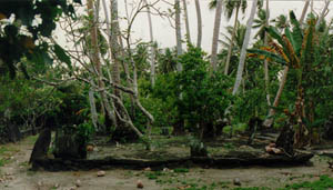 Makiy site