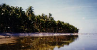 Pingelap photo