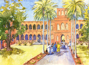 Illustration by Griselda El Tayeb
