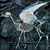Garden of Earthly Delights